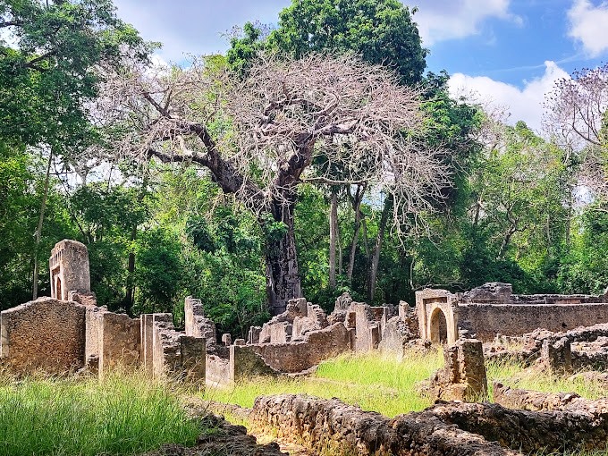 Coral Stone Architecture